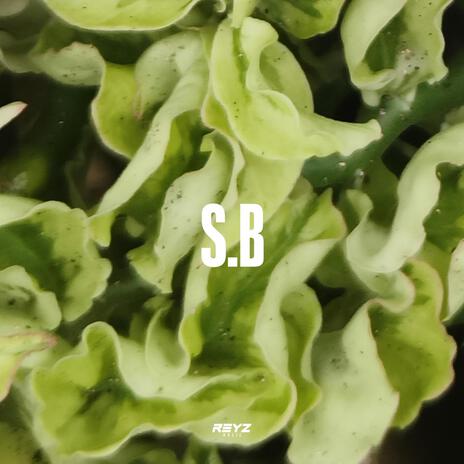 S.B | Boomplay Music