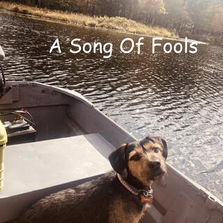 A Song Of Fools