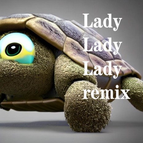 Lady Lady Lady remix | Boomplay Music