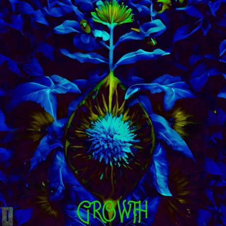 Growth | Boomplay Music