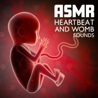 ASMR Heartbeat and Womb Sounds: White Noise for Sleep