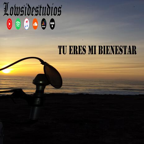 Tu eres mi bienestar | Boomplay Music