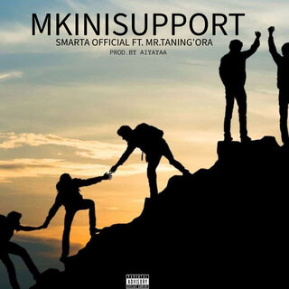 Mkinisupport