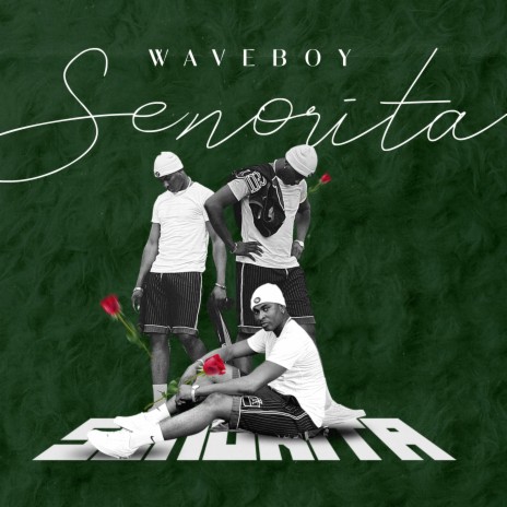 Senorita (Sped Up Version) | Boomplay Music