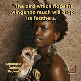 The Bird Which Flaps Its Wings Too Much Will Drop Its Feathers | AFIAPodcast