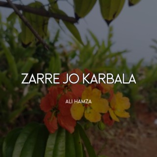 Zarre Jo Karbala