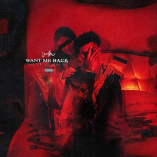 Want Me Back lyrics | Boomplay Music