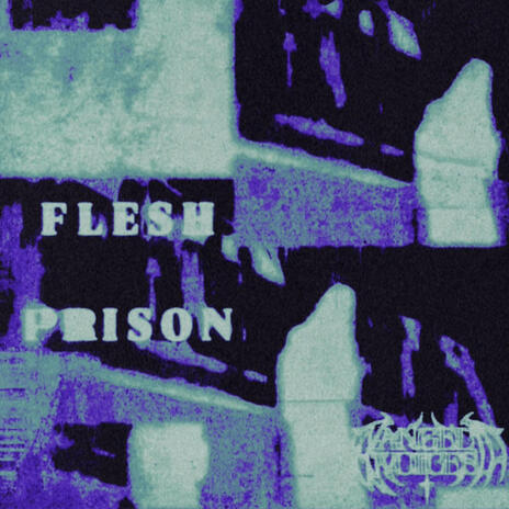 FLESH PRISON | Boomplay Music