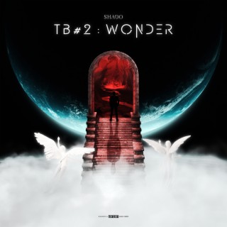 TB#2 : Wonder
