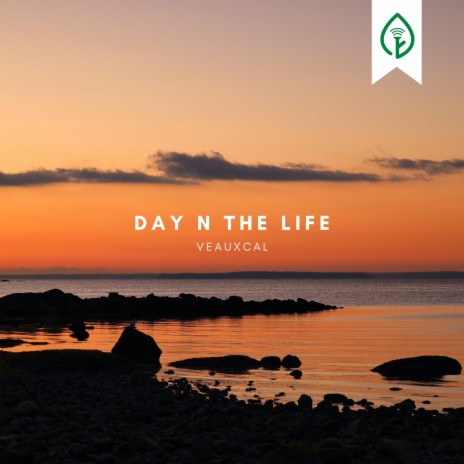 Day N The Life | Boomplay Music