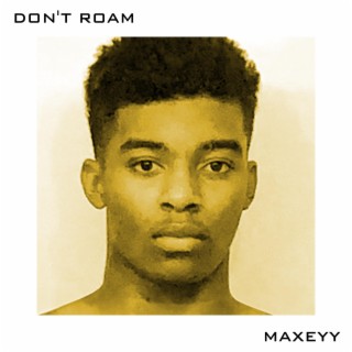 Don't Roam