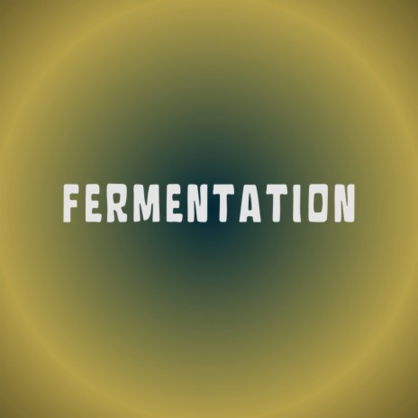 Fermentation | Boomplay Music