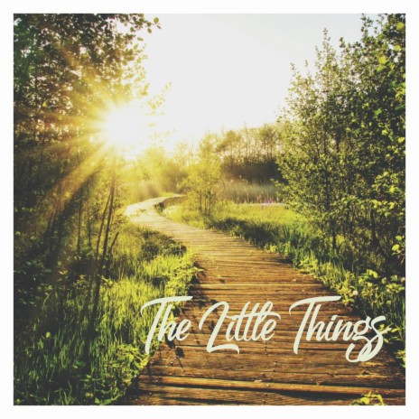 The Little Things ft. James Scott Nelson