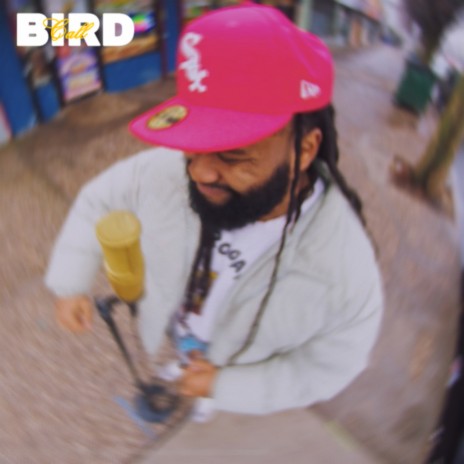 Bird Call | Boomplay Music