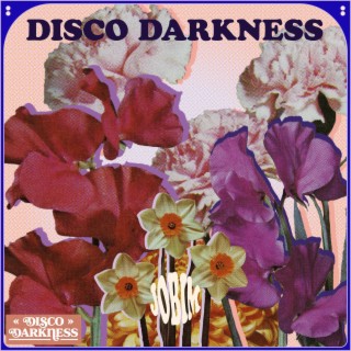 Disco Darkness