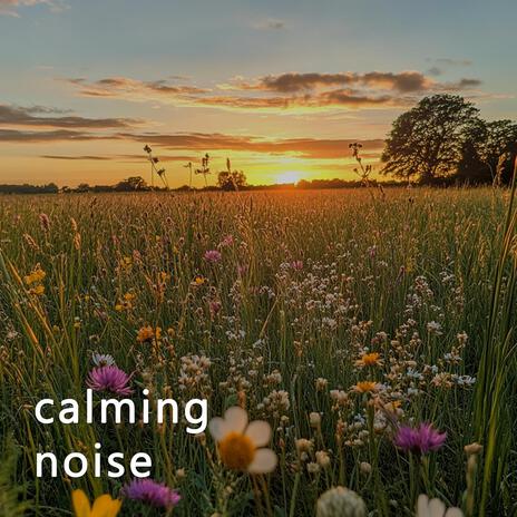 Calm Echoes | Boomplay Music