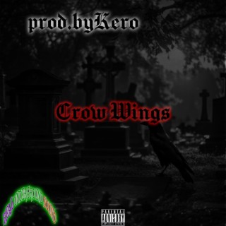 Crow Wings lyrics | Boomplay Music