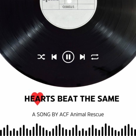 Hearts Beat The Same (A Song By ACF Animal Rescue) ft. Moji & Hibah Hassan | Boomplay Music