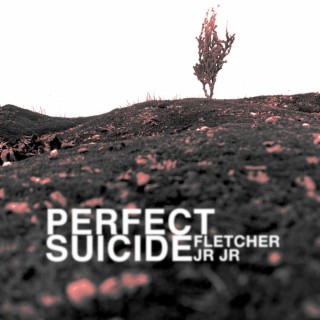 Perfect Suicide