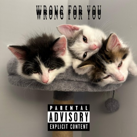 Wrong for you ft. Slashy, Epitomeoffailure & The Sound Clown | Boomplay Music