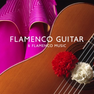 Flamenco Guitar & Flamenco Music: Spanish Guitar for Relaxation