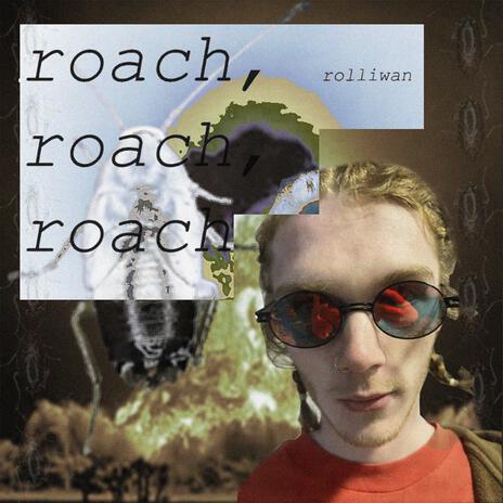 roach, roach, roach... | Boomplay Music