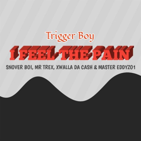 I Feel The Pain (feat. Snover Boi, Mr Trex & Xwalla Da Cash & Master Eddyzo1) | Boomplay Music