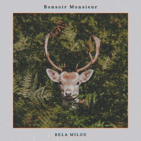 Bonsoir Monsieur | Boomplay Music