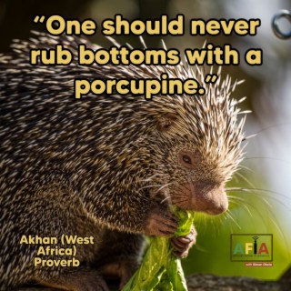 One Should Never Rub Bottoms With A Porcupine | African Proverbs | AFIAPodcast
