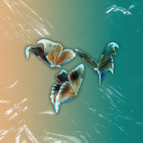 Butterflies | Boomplay Music