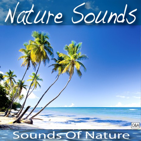 Crickets - Nature Sounds Lullaby | Boomplay Music