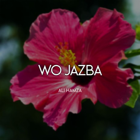 Wo Jazba | Boomplay Music