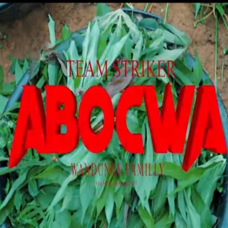 Abocwa (Team Striker) | Boomplay Music