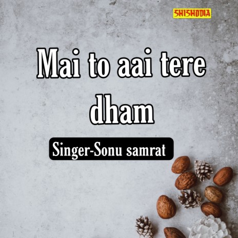 Mai To Aai Tere Dham | Boomplay Music