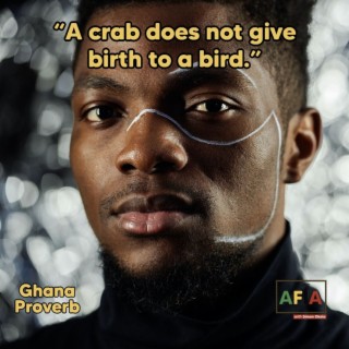 A Crab Does Not Give Birth To A Bird | African Proverbs | AFIAPodcast