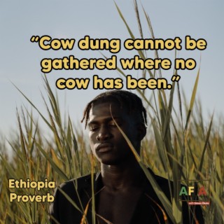 Cow Dung Cannot Be Gathered Where No Cow Has Been | AFIAPodcast