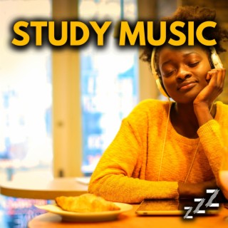 Study Music: 2 Hours of Study Music For Concentration & Focus