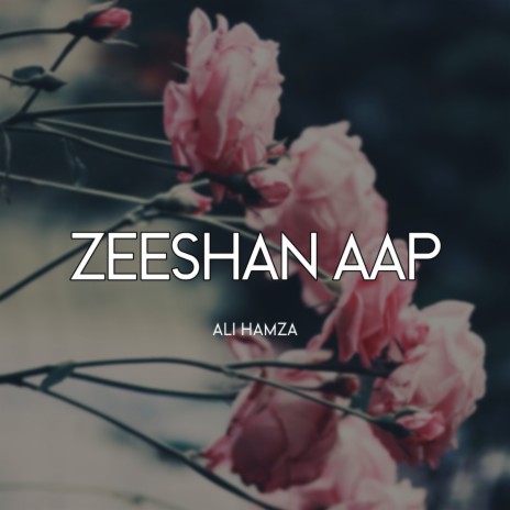 Zeeshan Aap | Boomplay Music