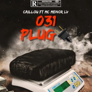 031Plug