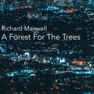 A Forest For The Trees (Meditation no. 6)