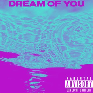 Dream of You ft. Wreckful lyrics | Boomplay Music