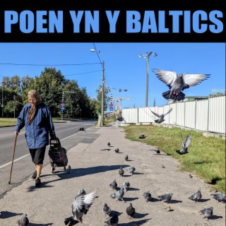 Poen yn y Baltics