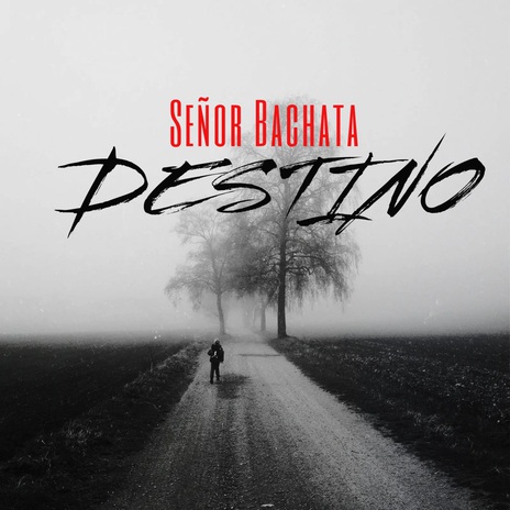 Destino | Boomplay Music