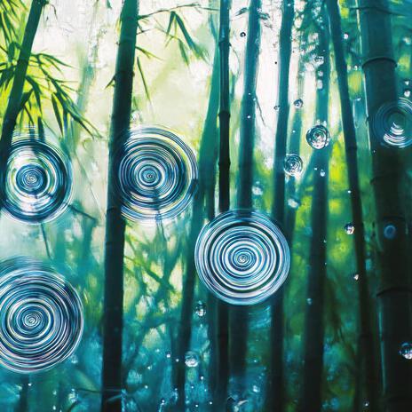 Harmony in the Bamboo Grove ft. Rain Sounds!, Spiritual Frequency, Meditation & Spa