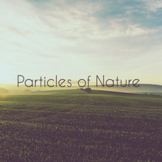 Particles of Nature