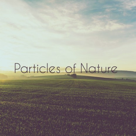 Particles of Nature | Boomplay Music