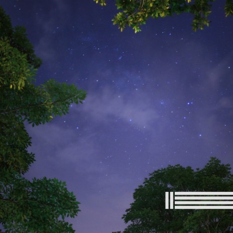 Calm Night ft. Cricket Sounds & Sounds of Nature Zone | Boomplay Music