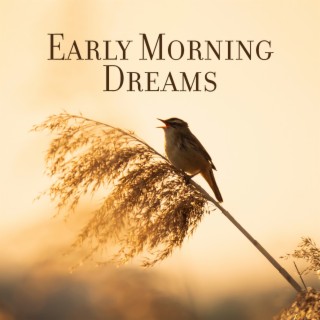Early Morning Dreams: Correct the Sleep Schedule, 423 Hz Manifestation of the Harmony, Love and Peace