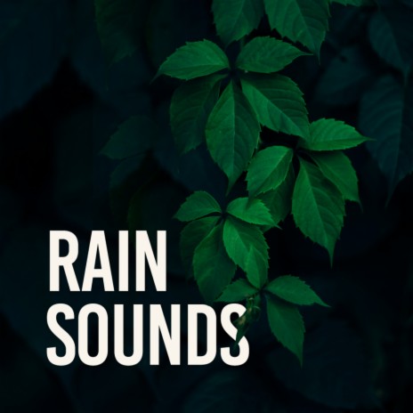 Easy Rainfall | Boomplay Music