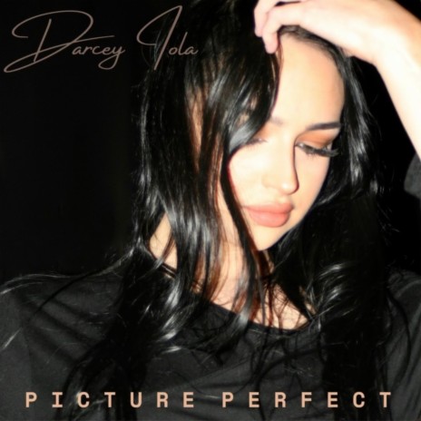 Picture Perfect | Boomplay Music